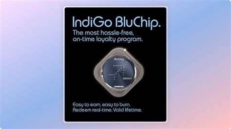 IndiGo BluChip